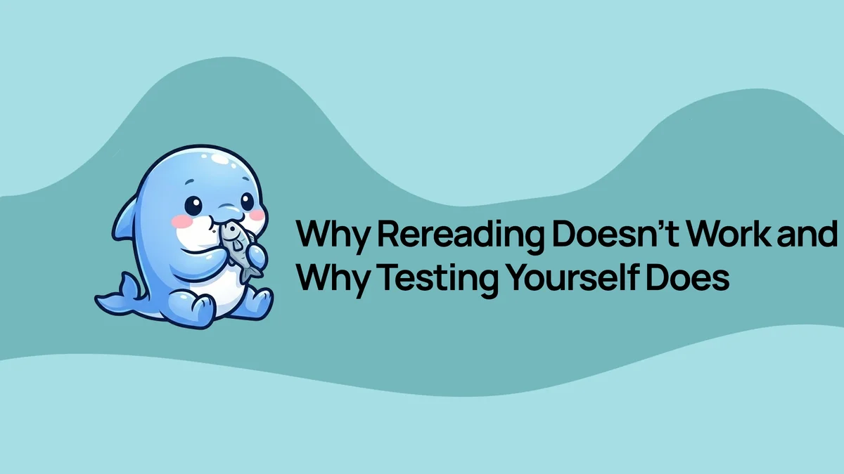 Why Rereading Doesn't Work and Why Testing Yourself Does